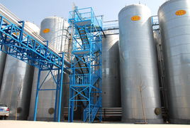 富氏好太太調味品 山東富氏生物科技如何以科技賦能傳統食品