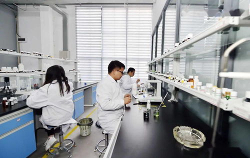 工業遺產蝶變記 昆明茨壩生物科技小鎮，打造生命科學新引擎